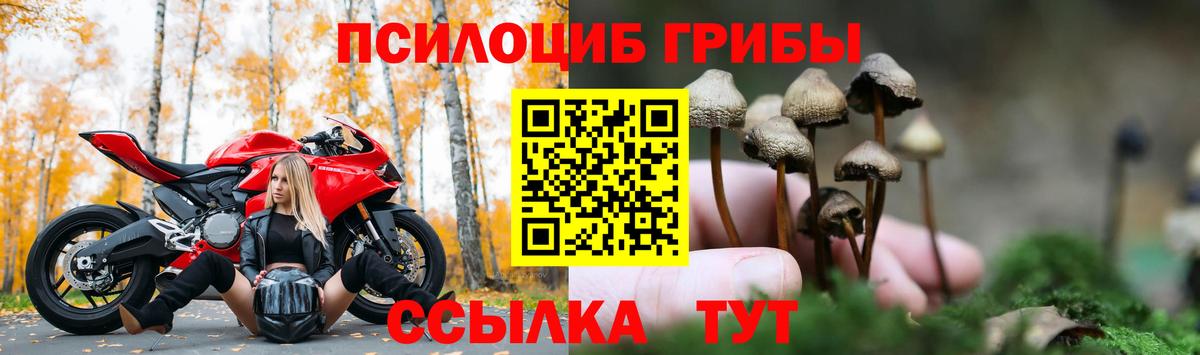 Псилоцибиновые грибы ЛСД  Вход с VPN  где найти наркотики  Знаменск  Галлюциногенные грибы Cubensis 